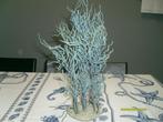 sier plantje, Dieren en Toebehoren, Vissen | Aquaria en Toebehoren, Ophalen, Zo goed als nieuw, Plant(en), Steen of Hout