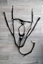 Kavalkade Caya zwart borsttuig, Enlèvement ou Envoi