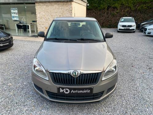 Skoda 2010, Auto's, Skoda, Bedrijf, Te koop, Fabia, Benzine, Euro 5, Berline, 5 deurs, Handgeschakeld, Zilver of Grijs, Zwart
