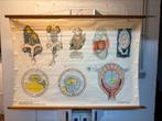 Schoolplaat zoogdieren, Antiquités & Art, Antiquités | Cartes scolaires, Enlèvement