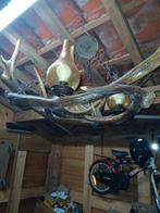 Edelhert luster, Ophalen