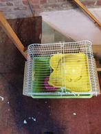 Cavia kooi, Dieren en Toebehoren, Ophalen, Zo goed als nieuw