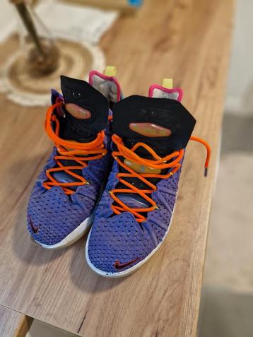 Schoenen Nike Lebron