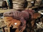 iguane 30 cm en bois de suar, Enlèvement ou Envoi