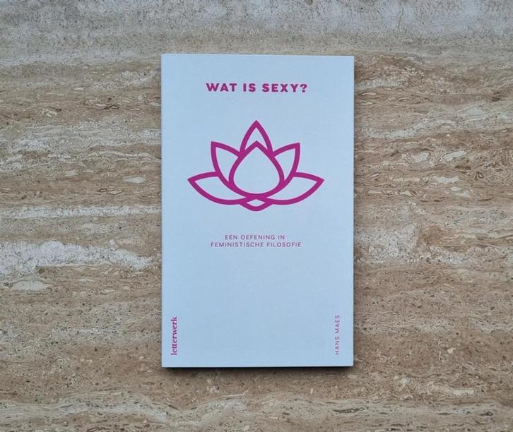 Wat is sexy? Oefening in feministische filosofie, Hans Maes, Boeken, Filosofie, Nieuw, Ophalen of Verzenden