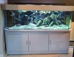 Aquarium 450 liter, Enlèvement, Utilisé, Aquarium d'eau douce rempli