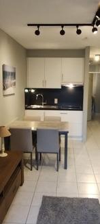 A louer Bel appartement d'une chambre à Nieuwpoort-Bad., 35 à 50 m², Province de Flandre-Occidentale