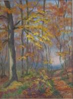 JOSEPHINE RAMET / BOSWEG / OLIEVERF DOEK / 58x48cm / KADER, Ophalen of Verzenden