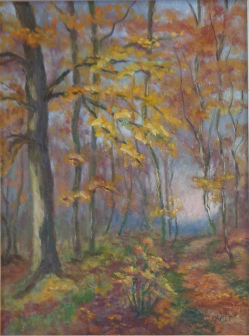 JOSEPHINE RAMET / BOSWEG / OLIEVERF DOEK / 58x48cm / KADER, Antiek en Kunst, Kunst | Schilderijen | Klassiek, Ophalen of Verzenden