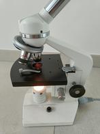 Microscoop Euromex Holland, Audio, Tv en Foto, Optische apparatuur | Microscopen, Ophalen of Verzenden, Gebruikt, Minder dan 400x