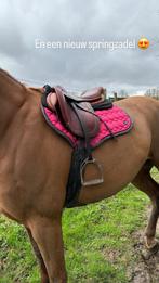 Cognac springset zadel hoofdstel borsttuig, Animaux & Accessoires, Chevaux