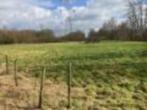 Weide te huur Massenhoven