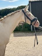 Super lieve, aparte, kinderpony aangeboden, Dieren en Toebehoren, Pony's, M, 11 jaar of ouder, Recreatiepony, Merrie