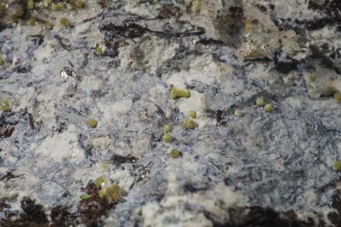 Zéér zeldzame EULYTIEN op matrix uit Hechtsberg, Duitsland., Verzamelen, Mineralen en Fossielen, Mineraal, Ophalen of Verzenden