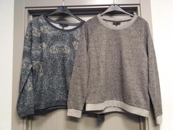 Pulls pour femmes, taille M, Taille 38/40 (M), Anna Scott-JBC, Enlèvement ou Envoi, Autres couleurs