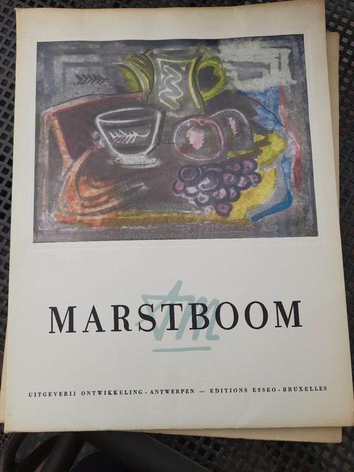 ART BOOK : MARSTBOOM comme neuf, Livres, Art & Culture | Arts plastiques, Comme neuf, Enlèvement