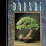 Bonsai Susan Bachenheimer Resnick  142 blz, Livres, Loisirs & Temps libre, Comme neuf, Enlèvement ou Envoi