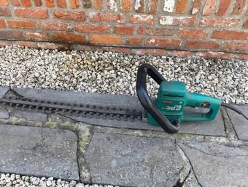 Haagschaar beschikbaar voor biedingen