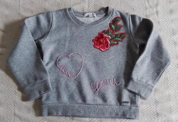 Grijze trui Blue Bay 110 / 5 jaar beschikbaar voor biedingen