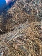 Hooi, Dieren en Toebehoren, Dierenvoeding, Ophalen