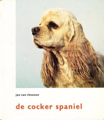 (d20) De Cocker Spaniel beschikbaar voor biedingen