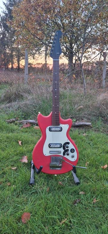 Klira triumphator beschikbaar voor biedingen