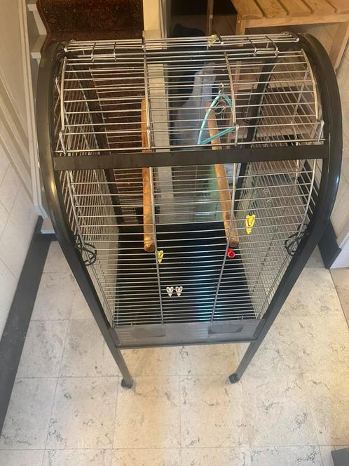 Grote Vogelkooi op Wielen – Sterke Metalen Kooi, Dieren en Toebehoren, Vogels | Hokken en Kooien, Zo goed als nieuw, Vogelkooi