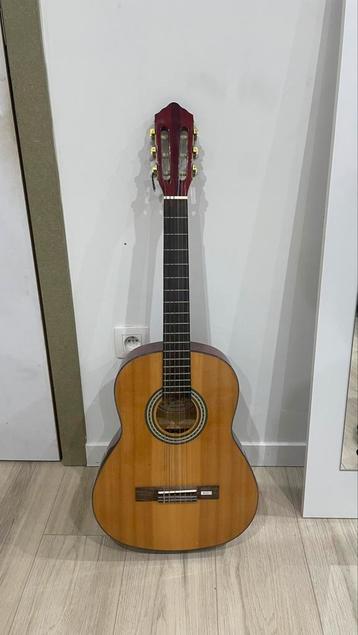 Gitaar gebruikt 50euro
