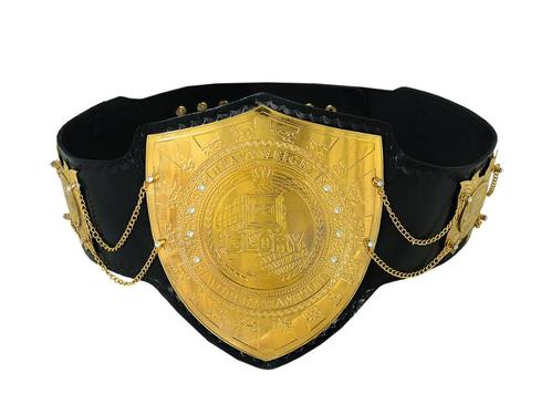 Glory Kickboxing Heavy Weight Championship Leer Belt Replica, Sports & Fitness, Équipement de fitness, Abdominaux, Enlèvement ou Envoi