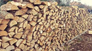 Bois de chauffage beschikbaar voor biedingen
