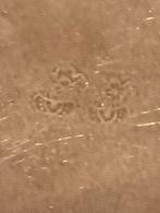 Antiek bord met stempel tin, Antiek en Kunst, Ophalen of Verzenden