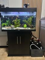 Aquarium waterschildpad full set up NETJES !!, Dieren en Toebehoren, Ophalen, Zo goed als nieuw