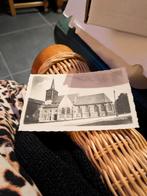 Forest, Ophalen of Verzenden, Ongelopen