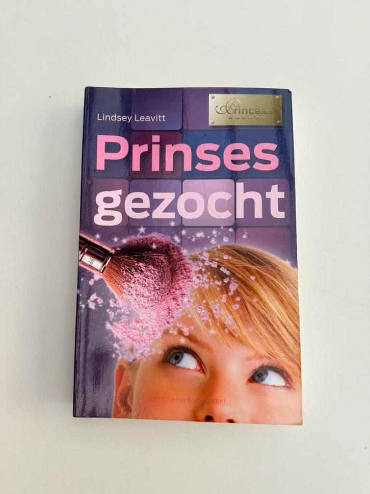 Lindsey Leavitt - Prinses gezocht, Livres, Livres pour enfants | Jeunesse | 13 ans et plus, Enlèvement ou Envoi