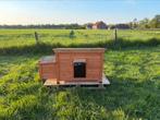Kippenhok met automatische deur, Dieren en Toebehoren, Kip