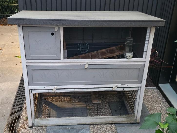 Konijnenhok, Dieren en Toebehoren, Knaagdieren en Konijnen | Hokken en Kooien, Gebruikt, Hok, 90 cm of meer, 110 cm of meer, Cavia