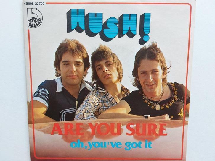 Hush ! (Belpop) - Are You Sure (1977), Cd's en Dvd's, Vinyl Singles, Rock en Metal, Ophalen of Verzenden