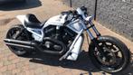 Harley Davidson v rod, Motos, Particulier, 2 cylindres, 1200 cm³, Chopper
