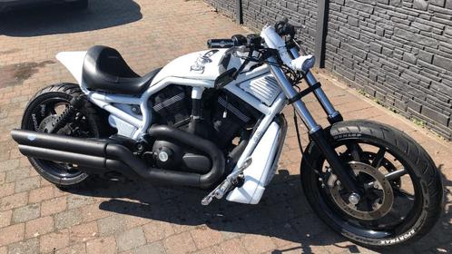 Harley Davidson v rod, Motoren, Motoren | Harley-Davidson, Particulier, Chopper, 2 cilinders, Ophalen