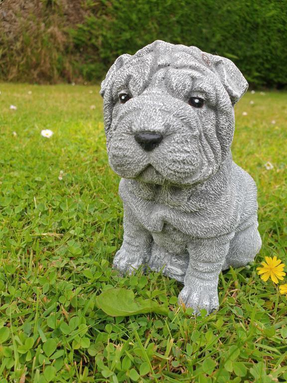 puppy , shar-pei , tuinbeeld, Jardin & Terrasse, Statues de jardin, Neuf, Enlèvement ou Envoi