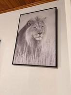 Tijger kader, Antiek en Kunst, Kunst | Tekeningen en Fotografie, Ophalen