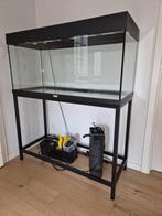 Aquarium Juwel Rio LED 180 + meuble + Bioflow complet, Animaux & Accessoires, Enlèvement, Comme neuf, Aquarium vide