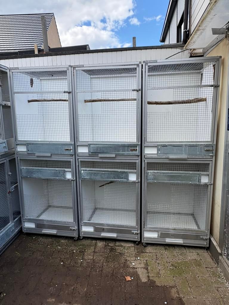 Kweekkooien papegaaien en parkieten, Ophalen of Verzenden, Zo goed als nieuw