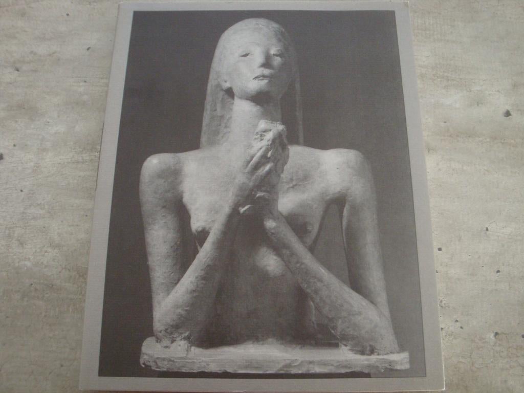 WILHELM LEHMBRUCK -GEORGE MINNE -JOSEPH BEUYS, Livres, Art & Culture | Arts plastiques, Utilisé, Enlèvement ou Envoi