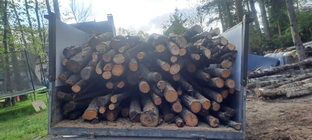 Brandthout  5 m3 250€  gratis levering, Tuin en Terras, Brandhout, Verzenden