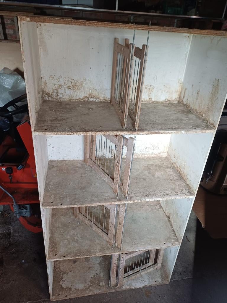 duivenbakken, Dieren en Toebehoren