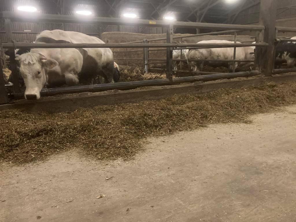 Clôture d'alimentation, Enlèvement