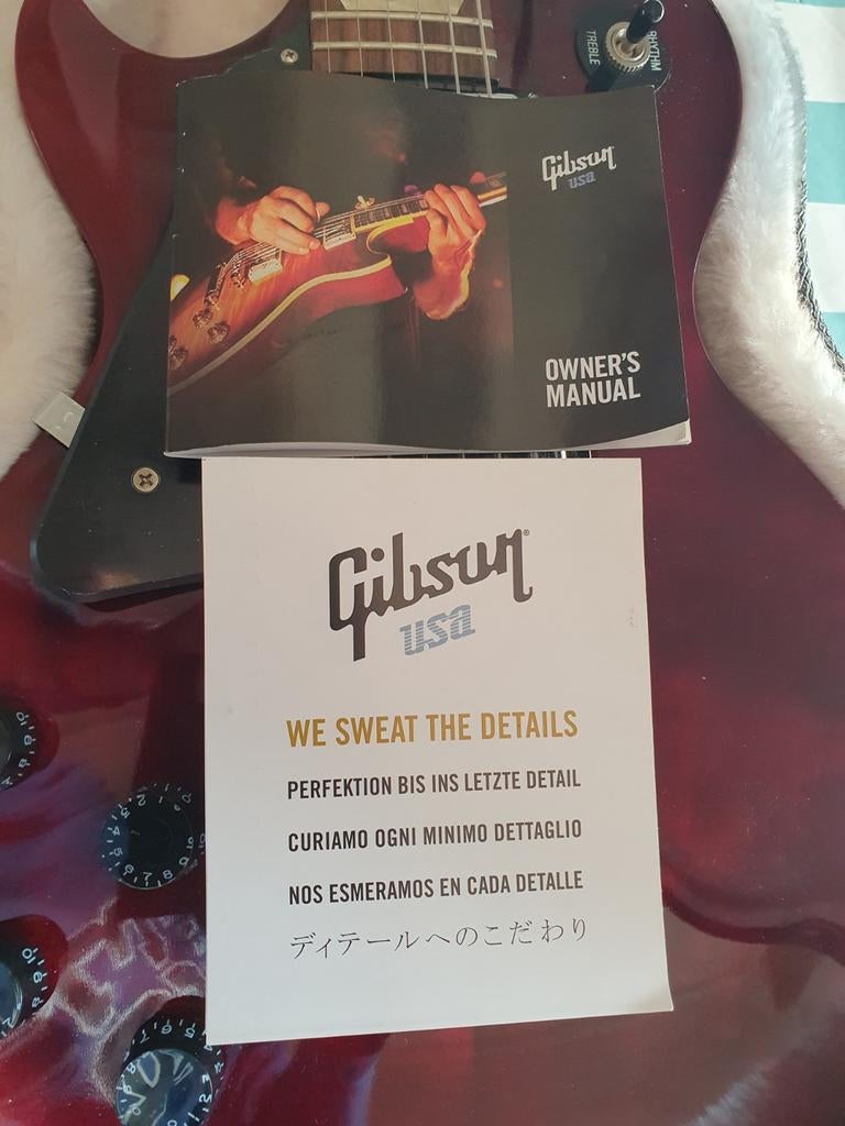 Gibson Les Paul Studio, gaucher, Enlèvement