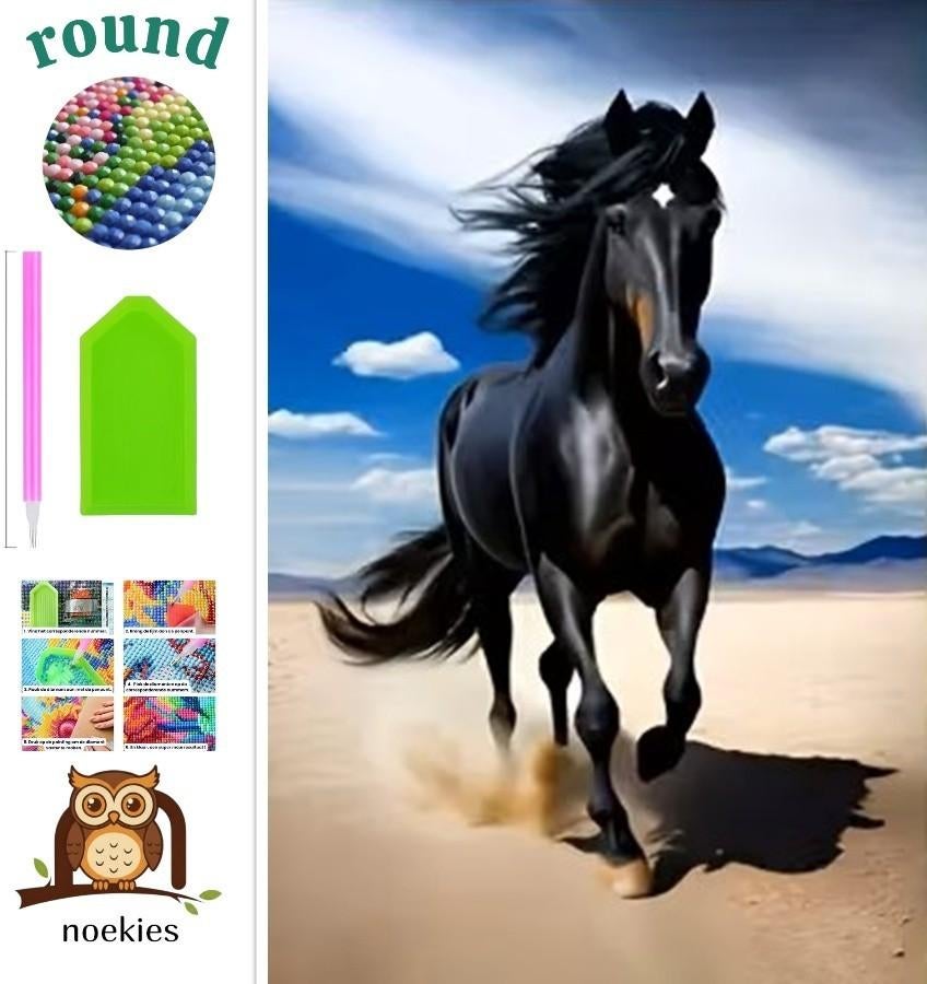nr 666 Diamond Painting paard op het strand 40x30cm (rond), Zwart, Verzenden, Nieuw, Overige materialen