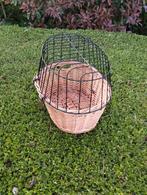 Panier pour chiens, Enlèvement